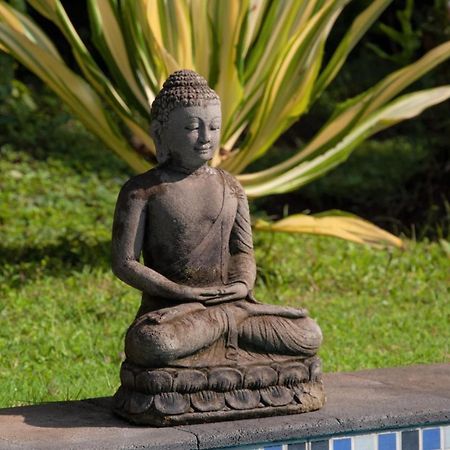 Villa Kelapa โลวินา ภายนอก รูปภาพ