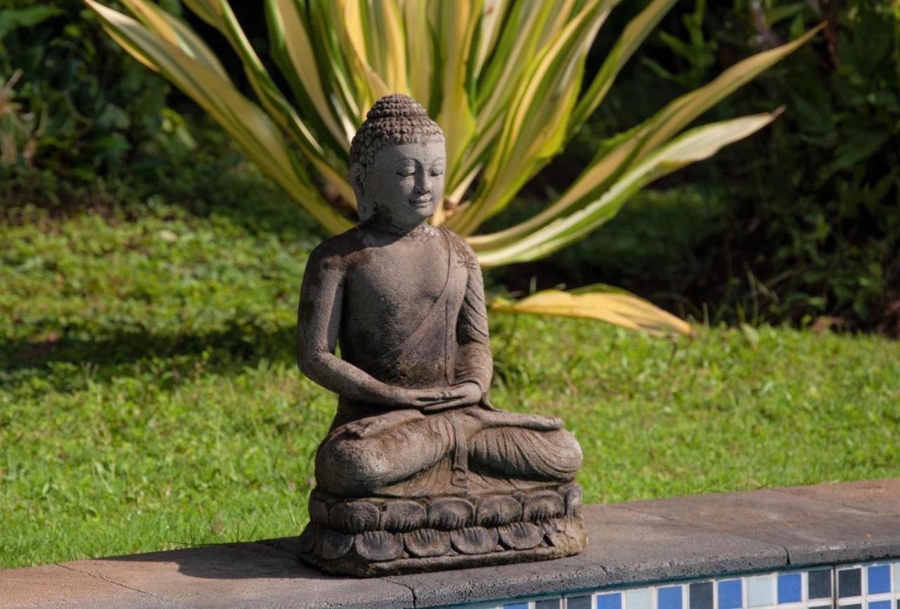 Villa Kelapa โลวินา ภายนอก รูปภาพ