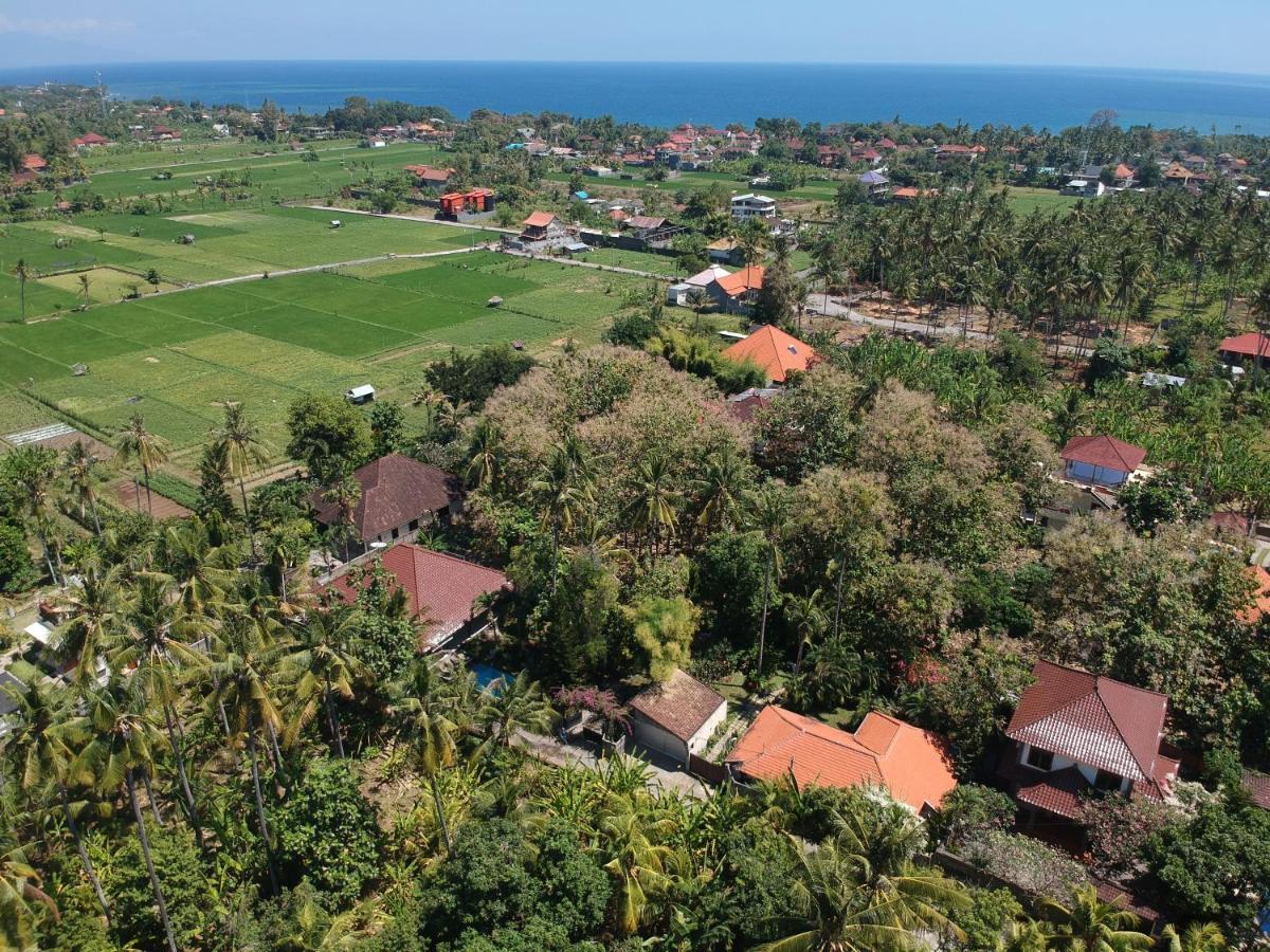 Villa Kelapa โลวินา ภายนอก รูปภาพ